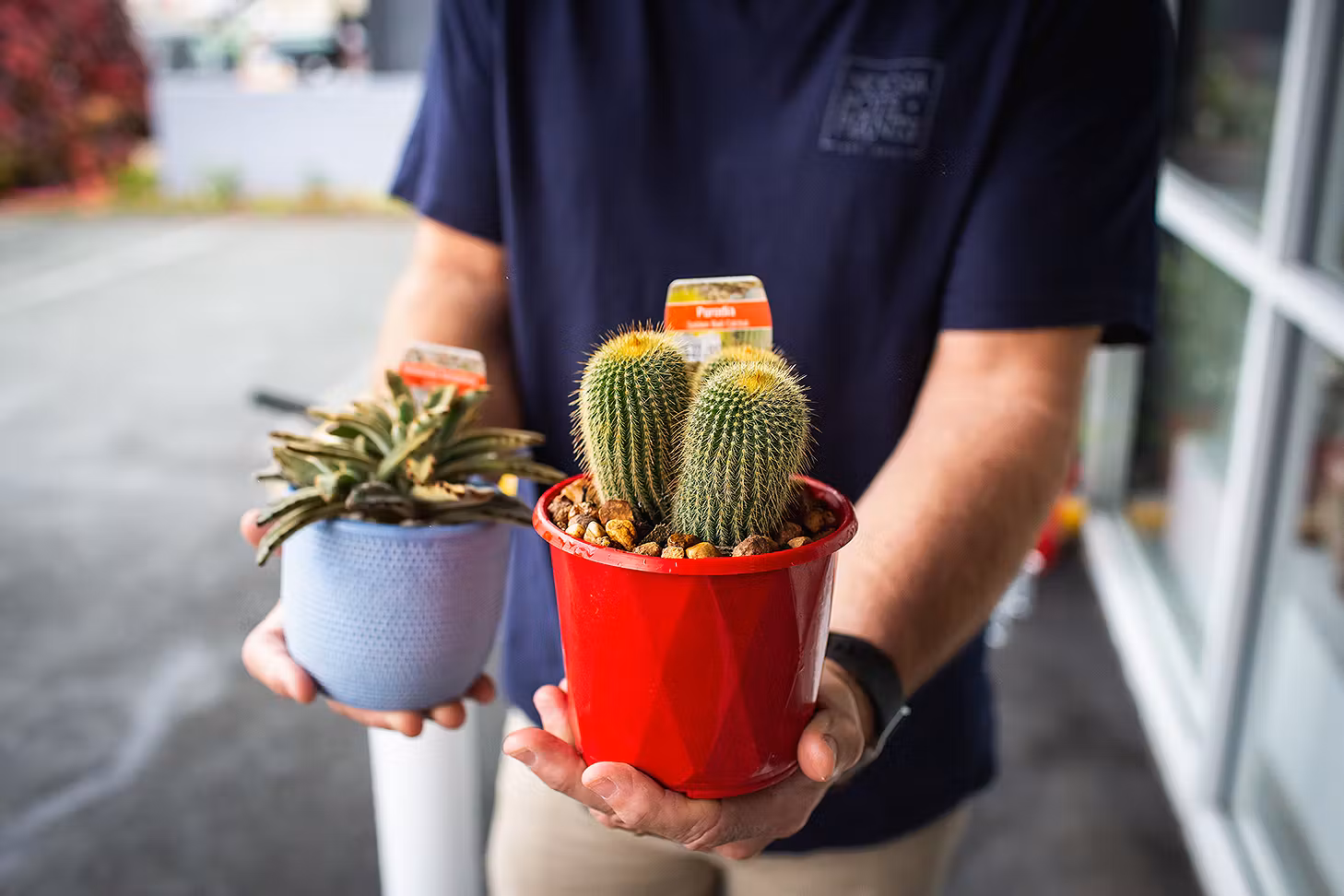 A guy holds two lovely looking plants in his hands.